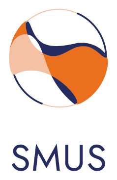 Global Centre of Spatial Methods for Urban Sustainability (GCSMUS)